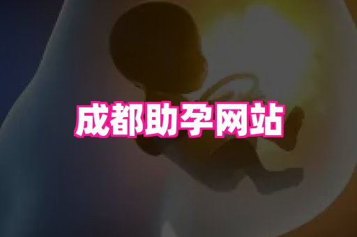 潍坊助孕网 3
